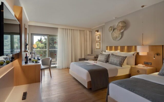 Barut Hemera 2